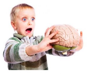 Ребенок держит в руках модель мозга